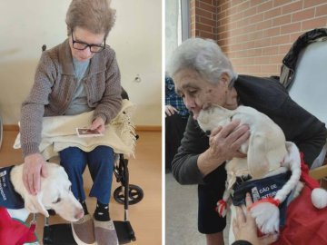 Visitas que alegram os nossos dias... 